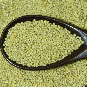 Browntop Millet